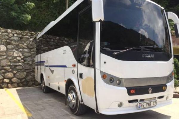VIP Bus (31 Passengers)